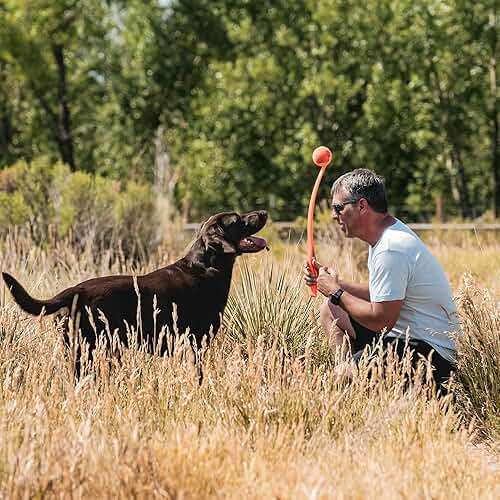 Chuckit! Sport 26L Dog Ball Launcher - Includes a 3-inch Diameter Large Ball for Dogs 60-100 Pounds - Manual Thrower for Dog Balls With a Slim Ergonomic Handle - 26-inch Length - Image 2
