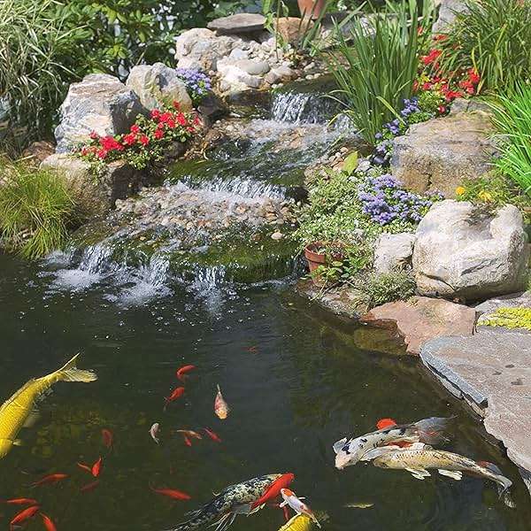 Tetra Pond Water Clarifier, 16.9 Ounces, Treats 2, 500 Gallons - Image 6