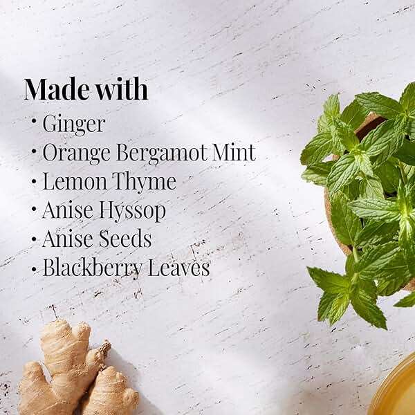 The Republic of Tea - Orange Ginger Mint Herbal Tea, 36 Tea Bag, Tin | Caffeine-free - Image 3