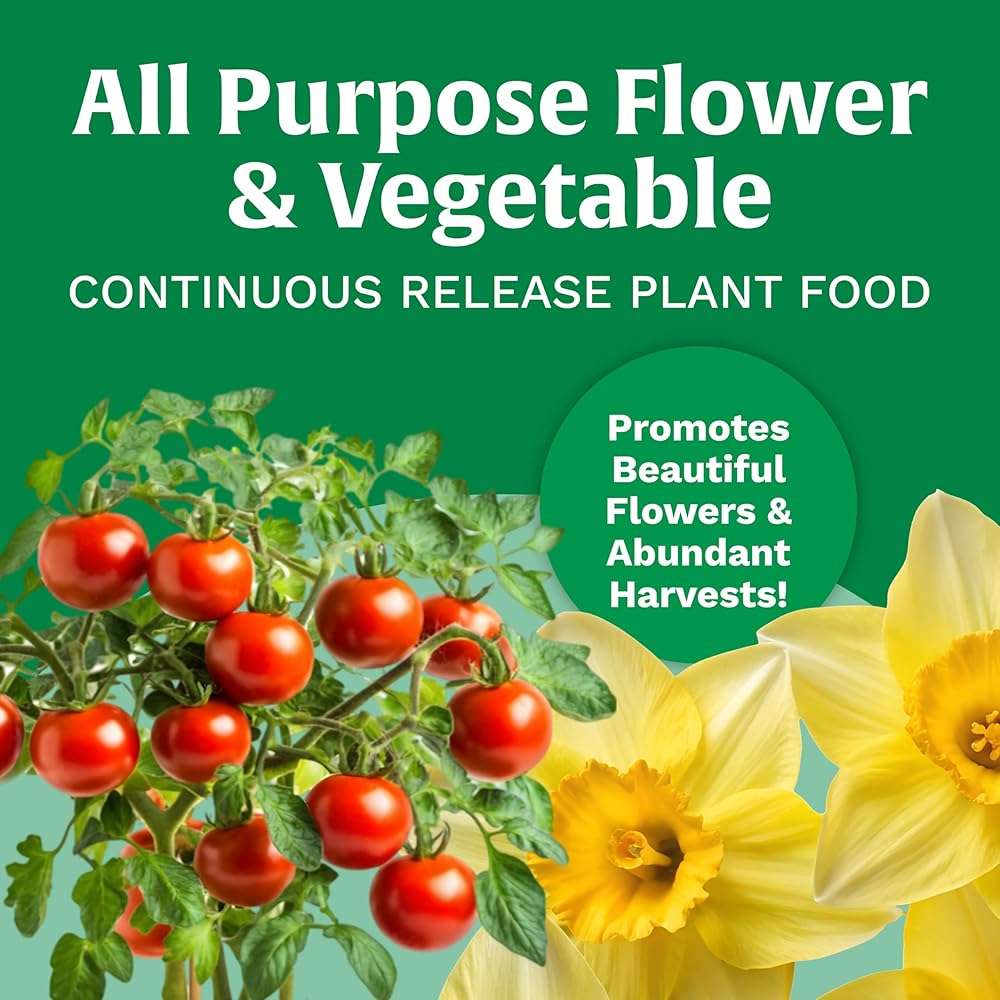 Scotts All Purpose Flower and Vegetable Continuous Release Plant Food, For Outdoor In-Ground Plants, 3 lb. - Image 4