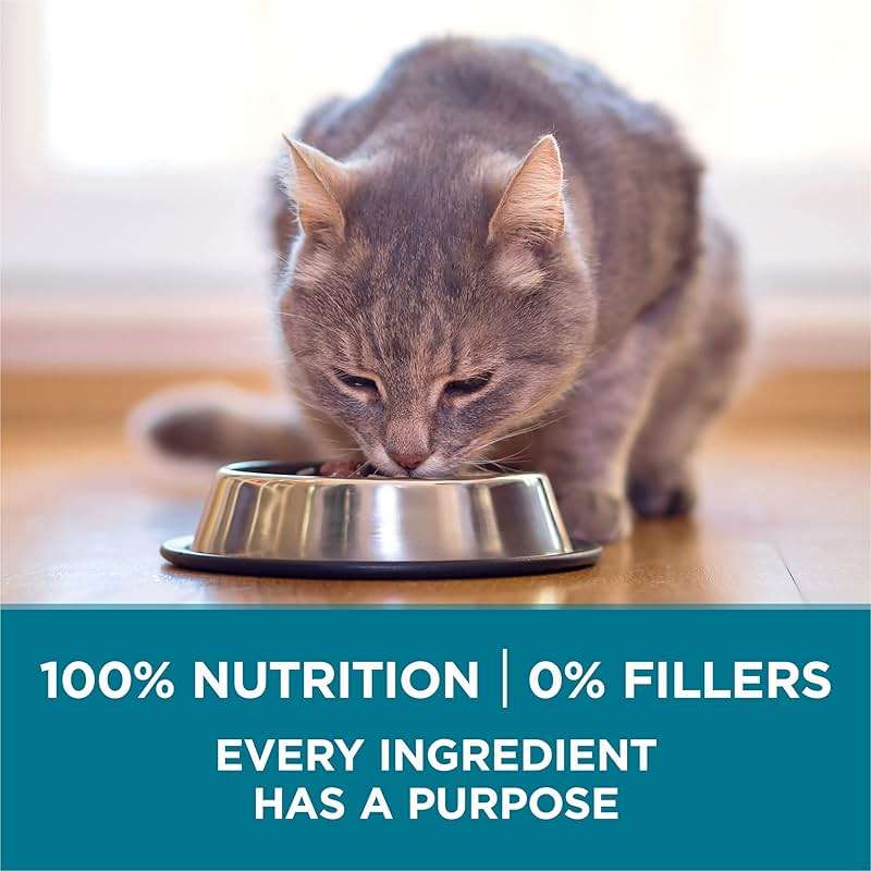 Purina ONE Natural Dry Cat Food, Tender Selects Blend With Real Salmon - 3.5 lb. Bag - Image 7