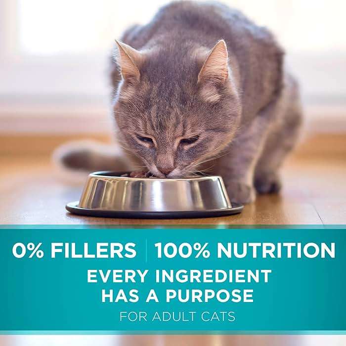 Purina ONE Natural Dry Cat Food, Tender Selects Blend With Real Salmon - 3.5 lb. Bag - Image 10