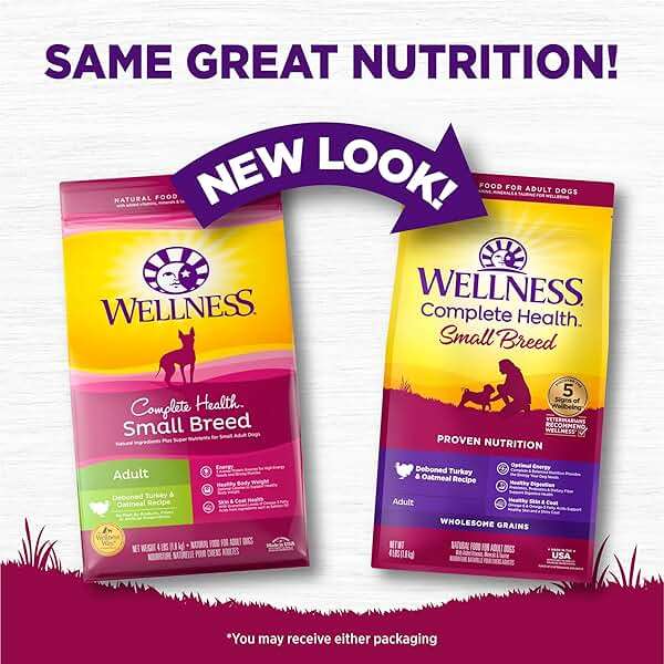 Wellness Complete Health Small Breed Dry Dog Food with Grains, Natural Ingredients, Made in USA with Real Turkey, For Dogs Up to 25 lbs, (Adult, Turkey & Oatmeal, 4-Pound Bag) - Image 3