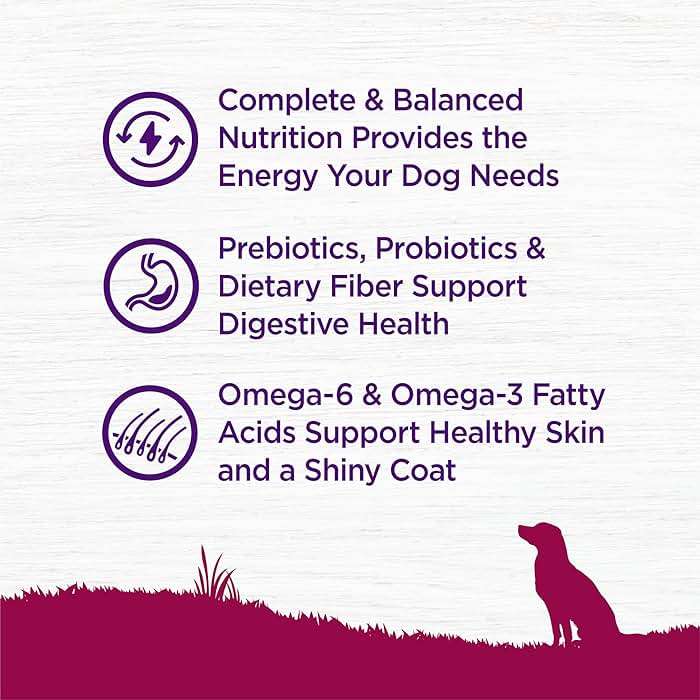 Wellness Complete Health Small Breed Dry Dog Food with Grains, Natural Ingredients, Made in USA with Real Turkey, For Dogs Up to 25 lbs, (Adult, Turkey & Oatmeal, 4-Pound Bag) - Image 4