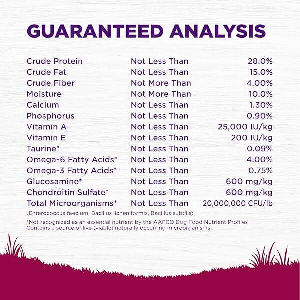 Wellness Complete Health Small Breed Dry Dog Food with Grains, Natural Ingredients, Made in USA with Real Turkey, For Dogs Up to 25 lbs, (Adult, Turkey & Oatmeal, 4-Pound Bag) - Image 7