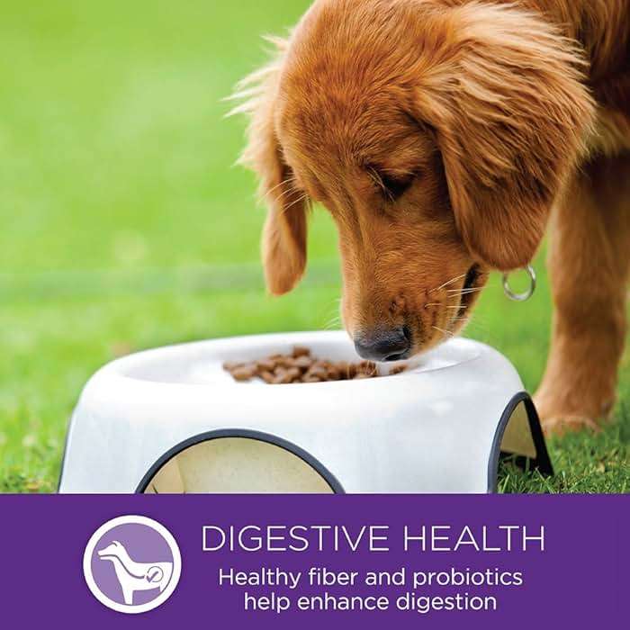 Wellness Complete Health Small Breed Dry Dog Food with Grains, Natural Ingredients, Made in USA with Real Turkey, For Dogs Up to 25 lbs, (Adult, Turkey & Oatmeal, 4-Pound Bag) - Image 10