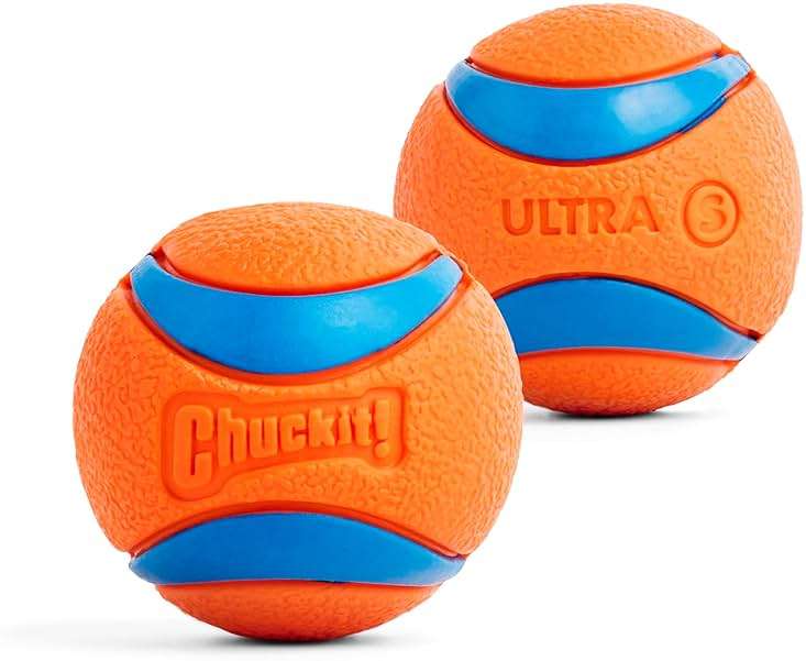 Chuckit! Ultra Ball Dog Toy, Balls for Dogs to Fetch, Durable Rubber, Small 2-inch, Pack of 2 - Image 1