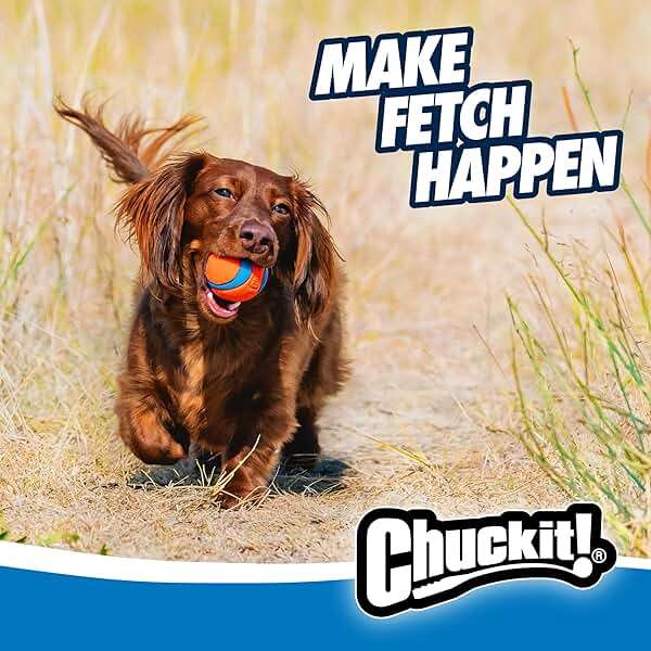 Chuckit! Ultra Ball Dog Toy, Balls for Dogs to Fetch, Durable Rubber, Small 2-inch, Pack of 2 - Image 6