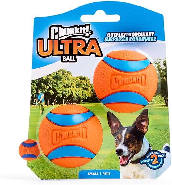 Chuckit! Ultra Ball Dog Toy, Balls for Dogs to Fetch, Durable Rubber, Small 2-inch, Pack of 2 - Image 9