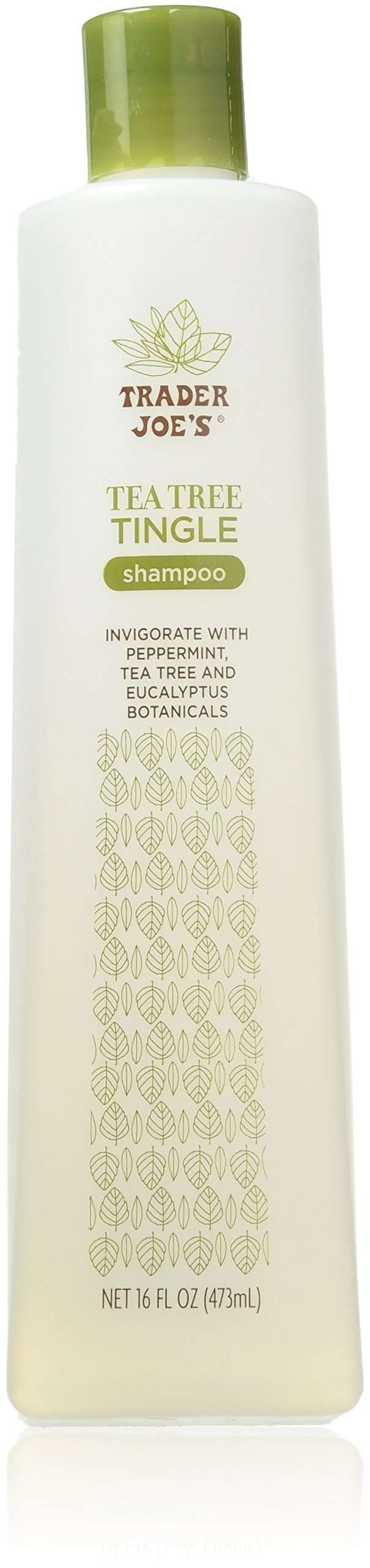 Trader Joe's Tea Tree Tingle Shampoo with Peppermint, Tea Tree and Eucalyptus Botanicals, 16-Ounces - Image 1