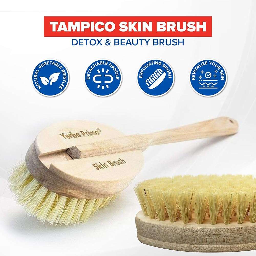 Yerba Prima Tampico Skin Brush for Exfoliation, Dry Brushing, and Blood Circulation with Natural Fiber Bristles and an All-Natural Maple Wood Handle - 1 Brush - Image 3