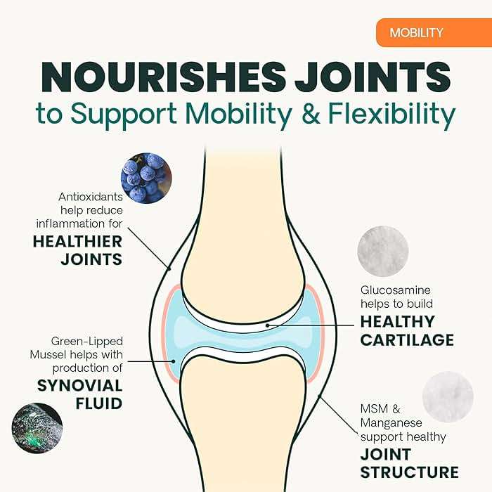 VetriScience Extra Strength Hip & Joint Supplement for Dogs – Supports Joint Health & Mobility, Vet-formulated w/Glucosamine, MSM & Green-Lipped Mussel – Chicken Flavor, 120 Chews - Image 6