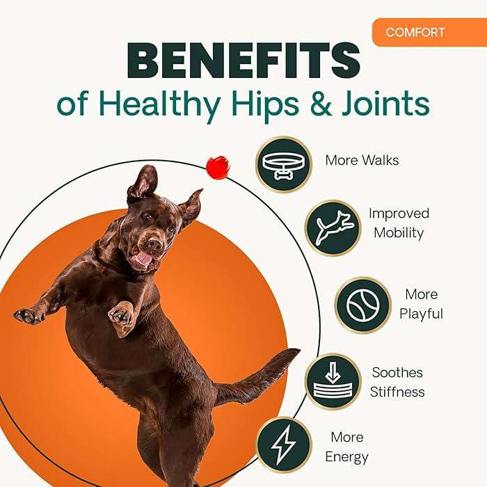 VetriScience Extra Strength Hip & Joint Supplement for Dogs – Supports Joint Health & Mobility, Vet-formulated w/Glucosamine, MSM & Green-Lipped Mussel – Chicken Flavor, 120 Chews - Image 7