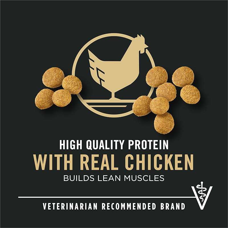 Purina Pro Plan Large Breed Dry Puppy Food, Chicken and Rice Formula - 34 lb. Bag - Image 2