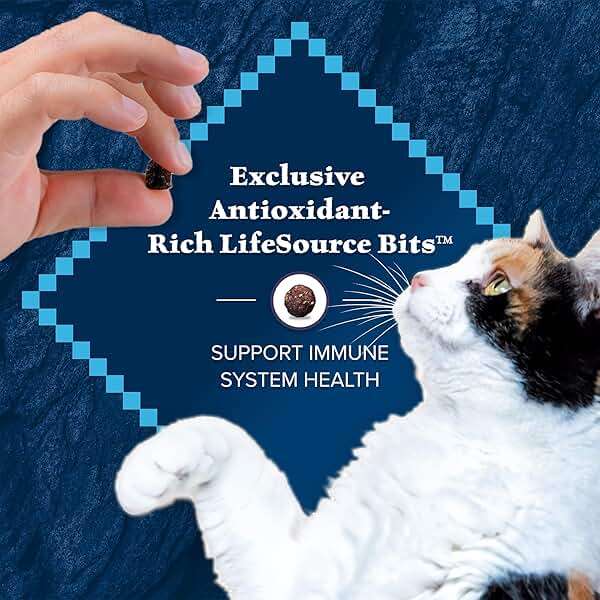 Blue Buffalo Wilderness with Chicken Natural High-Protein Grain-Free Dry Food for Adult Cats, Real Chicken First, Antioxidant-Rich LifeSource Bits Support Immunity, Promotes Strong Muscles, 12 lbs. - Image 8