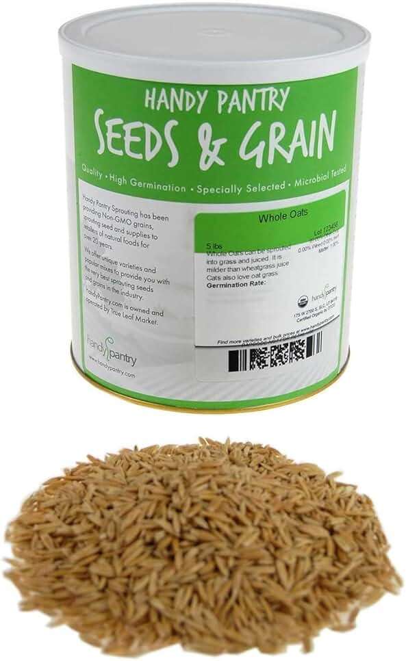 3.5 Lb Non-GMO Organic Whole Oat Groats (w/Husk) - Gluten Free Organic Oats - Whole Oats Organic for Sprouting, Steel Cut Oats Organic, Oat Berries, Oat Flour Organic, Oat Rice, and Livestock Feed - Image 1