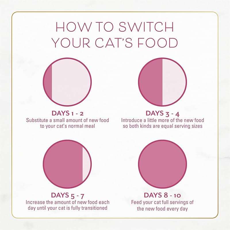 Fancy Feast Purina Filet Mignon Flavor with Real Seafood & Shrimp Dry Cat Food (7 Pound (Pack of 1)) - Image 12