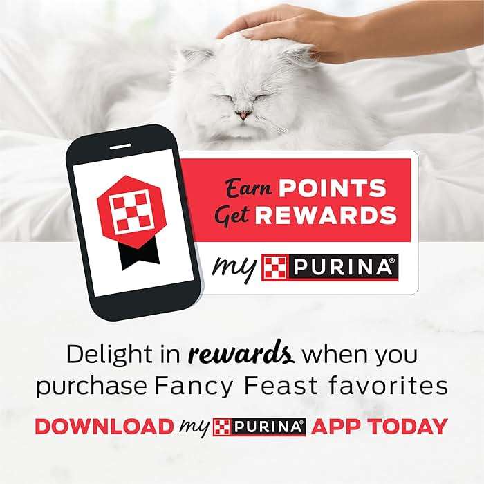 Fancy Feast Purina Filet Mignon Flavor with Real Seafood & Shrimp Dry Cat Food (7 Pound (Pack of 1)) - Image 13