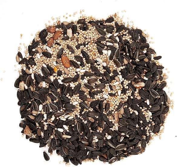 Wagner's 62042 Songbird Supreme Blend Wild Bird Food, 8-Pound Bag - Image 3