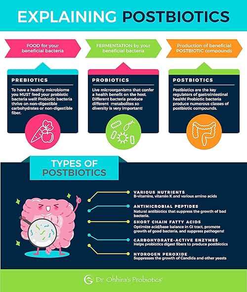 Essential Formulas Dr. Ohhira’s Probiotics Professional Formula with 5 Year Fermented Prebiotics, Live Active Probiotics and The only Product with Postbiotic Metabolites, 120 Capsules - Image 7