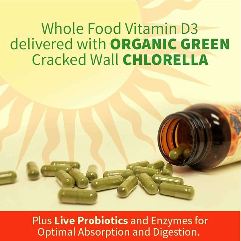 Garden of Life Vitamin D, Vitamin Code Raw D3, Vitamin D 2,000 IU, Raw Whole Food D3 Supplements with Chlorella, Fruit, Veggies & Probiotics for Bone & Immune Health, 60 Vegetarian Capsules - Image 4