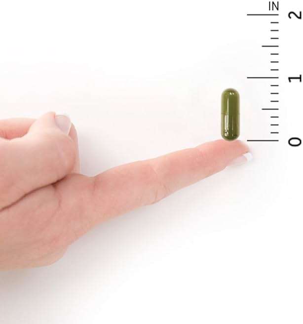 Garden of Life Vitamin D, Vitamin Code Raw D3, Vitamin D 2,000 IU, Raw Whole Food D3 Supplements with Chlorella, Fruit, Veggies & Probiotics for Bone & Immune Health, 60 Vegetarian Capsules - Image 8