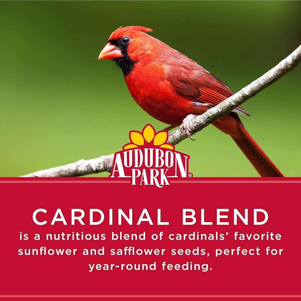 Audubon Park Cardinal Blend Wild Bird Food, Cardinal Bird Seed for Outside Feeders, 4-Pound Bag - Image 5