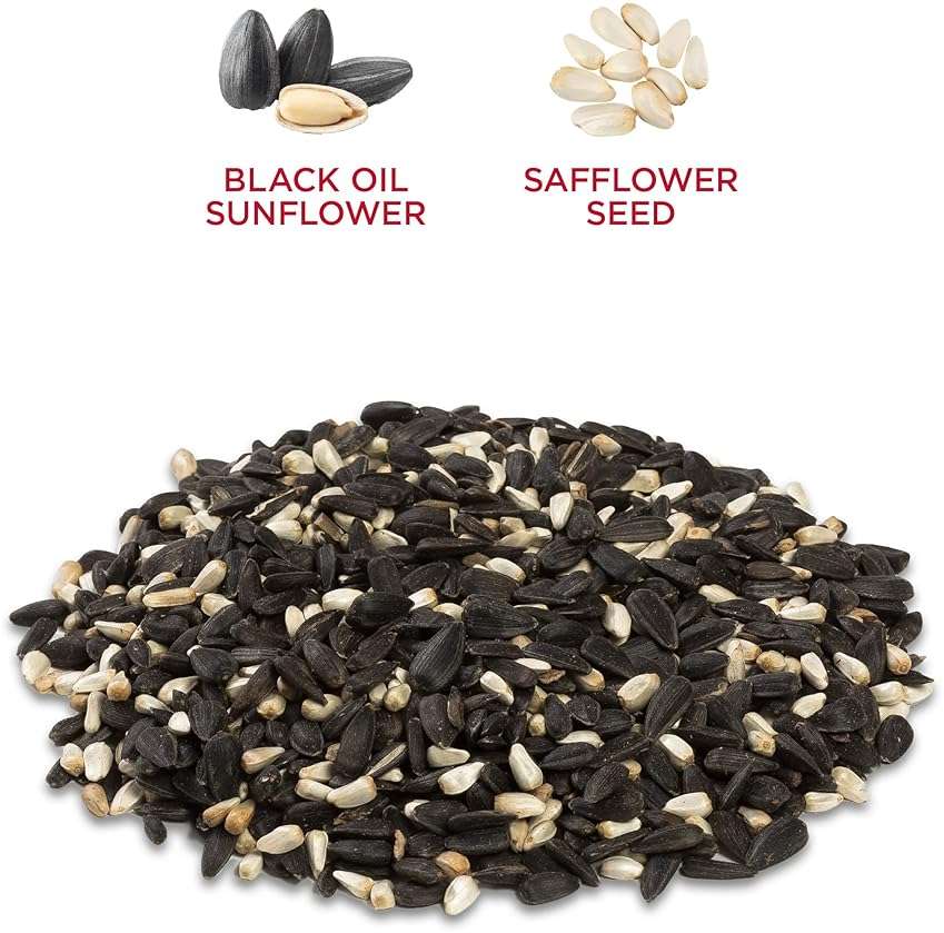 Audubon Park Cardinal Blend Wild Bird Food, Cardinal Bird Seed for Outside Feeders, 4-Pound Bag - Image 9