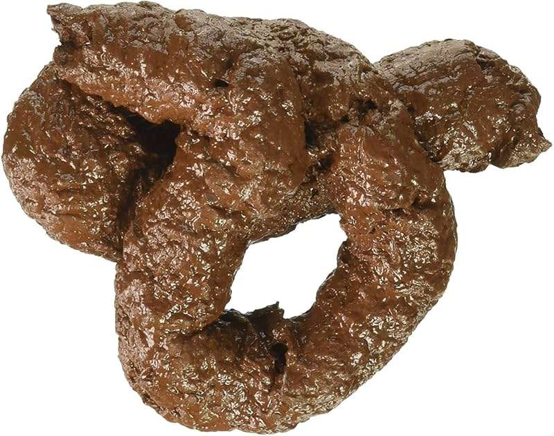 Rubies Fake Chunky Dog Doo for Themed Parties and Halloween - Image 1