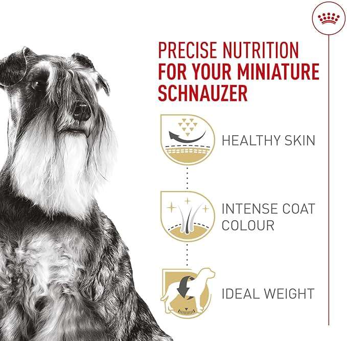Royal Canin Miniature Schnauzer Adult Dry Dog Food, Kibble for Miniature Schnauzers 10 Months+, Supports Skin and Coat Health, 10 lb bag - Image 4
