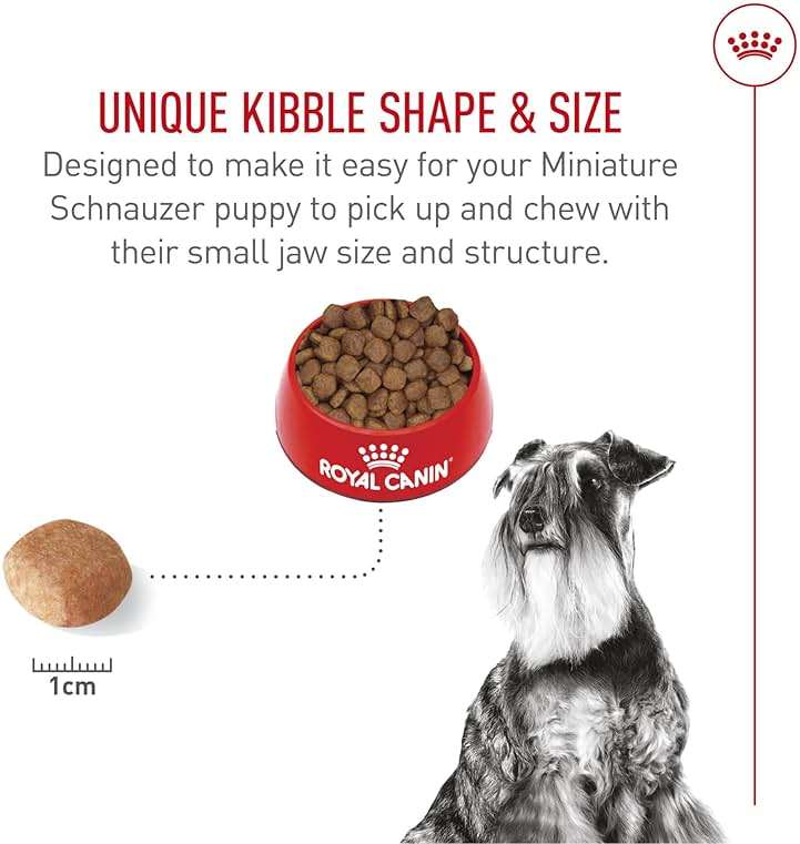 Royal Canin Miniature Schnauzer Adult Dry Dog Food, Kibble for Miniature Schnauzers 10 Months+, Supports Skin and Coat Health, 10 lb bag - Image 5