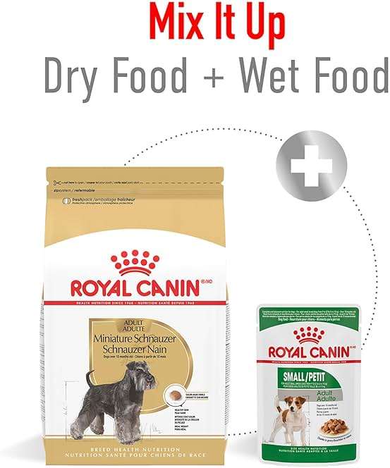 Royal Canin Miniature Schnauzer Adult Dry Dog Food, Kibble for Miniature Schnauzers 10 Months+, Supports Skin and Coat Health, 10 lb bag - Image 6
