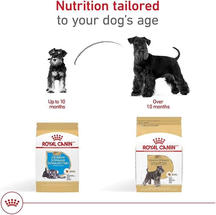 Royal Canin Miniature Schnauzer Adult Dry Dog Food, Kibble for Miniature Schnauzers 10 Months+, Supports Skin and Coat Health, 10 lb bag - Image 7
