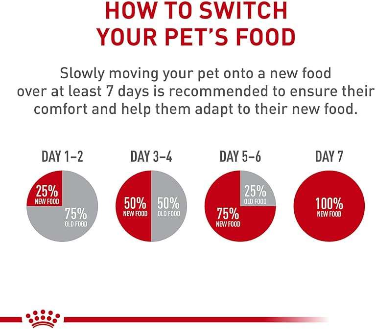 Royal Canin Miniature Schnauzer Adult Dry Dog Food, Kibble for Miniature Schnauzers 10 Months+, Supports Skin and Coat Health, 10 lb bag - Image 9