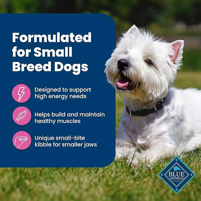 Blue Buffalo Life Protection Formula Chicken & Brown Rice Small Breed Adult Dry Dog Food, Supports Immunity with Antioxidant-Rich LifeSource Bits, Promotes Healthy Muscles, Skin & Coat Health, 15 lbs. - Image 6