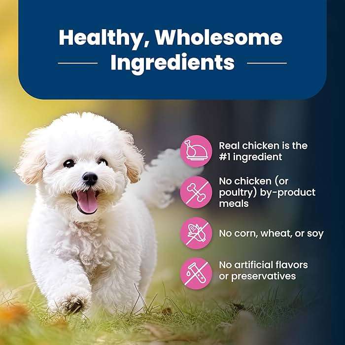 Blue Buffalo Life Protection Formula Chicken & Brown Rice Small Breed Adult Dry Dog Food, Supports Immunity with Antioxidant-Rich LifeSource Bits, Promotes Healthy Muscles, Skin & Coat Health, 15 lbs. - Image 8