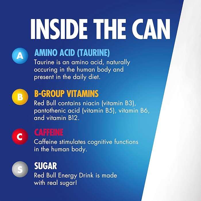 Red Bull Energy Drink with 151mg Caffeine plus Taurine & B Vitamins, 16 Fl Oz, Pack of 12 Cans - Image 3