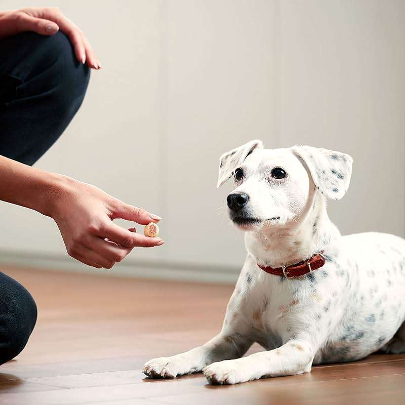 Milk-Bone MaroSnacks Small Dog Treats with Real Bone Marrow, 40 Oz. Canister - Image 6