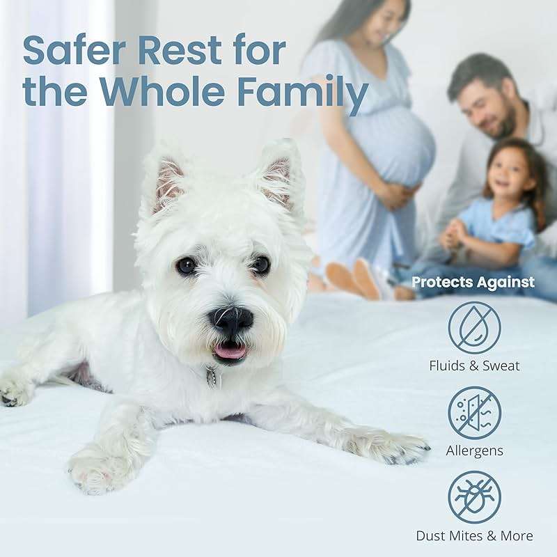 SafeRest Waterproof Queen Size Mattress Protector - Fitted with Stretchable Pockets - Machine Washable Cotton Blend Mattress Cover for Bed - Image 6