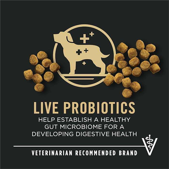 Purina Pro Plan High Protein Toy Breed Puppy Food DHA Chicken and Rice Formula - 5 lb. Bag - Image 2