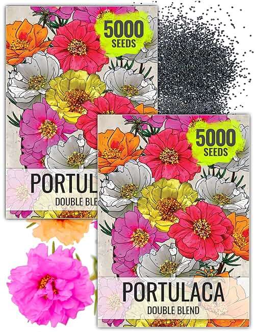 Seed Needs Moss Rose Seeds for Planting Portulaca Groundcover - Heirloom & Open Pollinated Flowers to Plant a Butterfly Garden - Double Petal Blooms in Red, Yellow, White, Orange & Pink (2 Packs) - Image 1