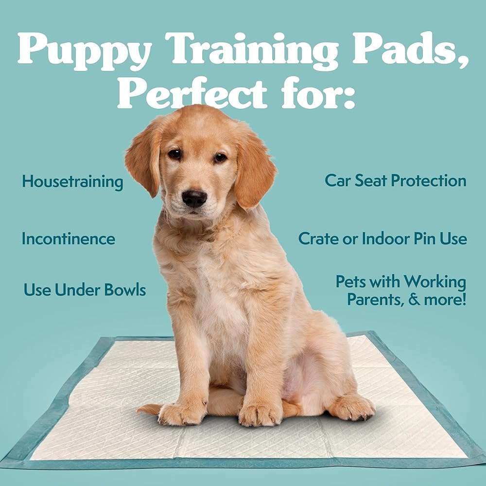 Simple Solution Puppy Pads Extra Large, Super Absorbent Pee Pads for Dogs, Doggie Potty Training, Puppy Essentials, X-Large for House Training, 28"x30", 50 Count - Image 2