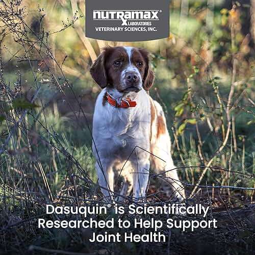 Nutramax Dasuquin for Small to Medium Dogs, Joint Health Supplement, Contains Glucosamine for Dogs, Plus Chondroitin, ASU, MSM and More, Supports Healthy Joints, Soft Chews, 84 Count - Image 2