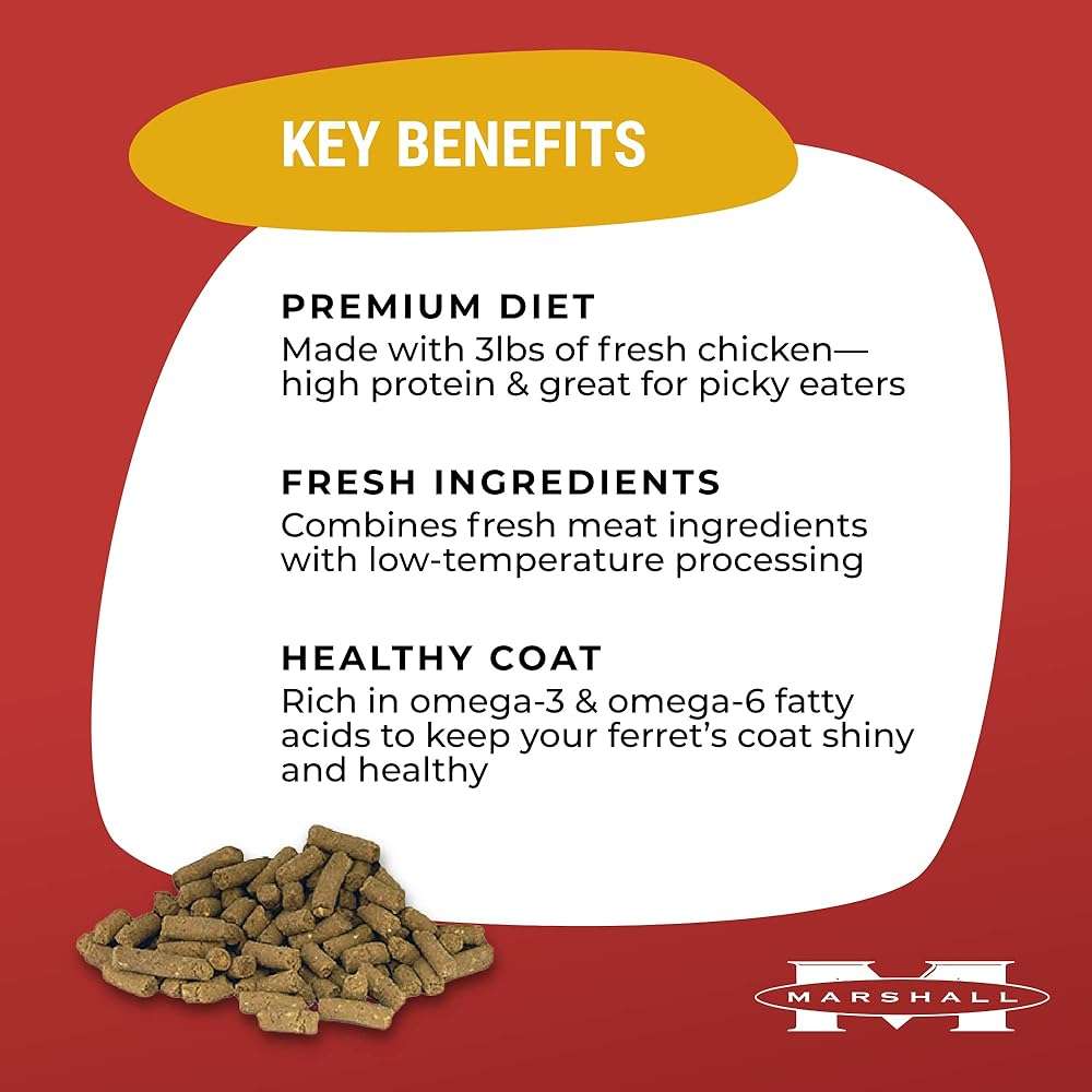 Marshall Select Chicken Formula Premium Ferret Diet – 4 lbs – Supports Digestion, Energy & Muscle Maintenance – Balanced Small Animal Food with Essential Nutrients - Image 3