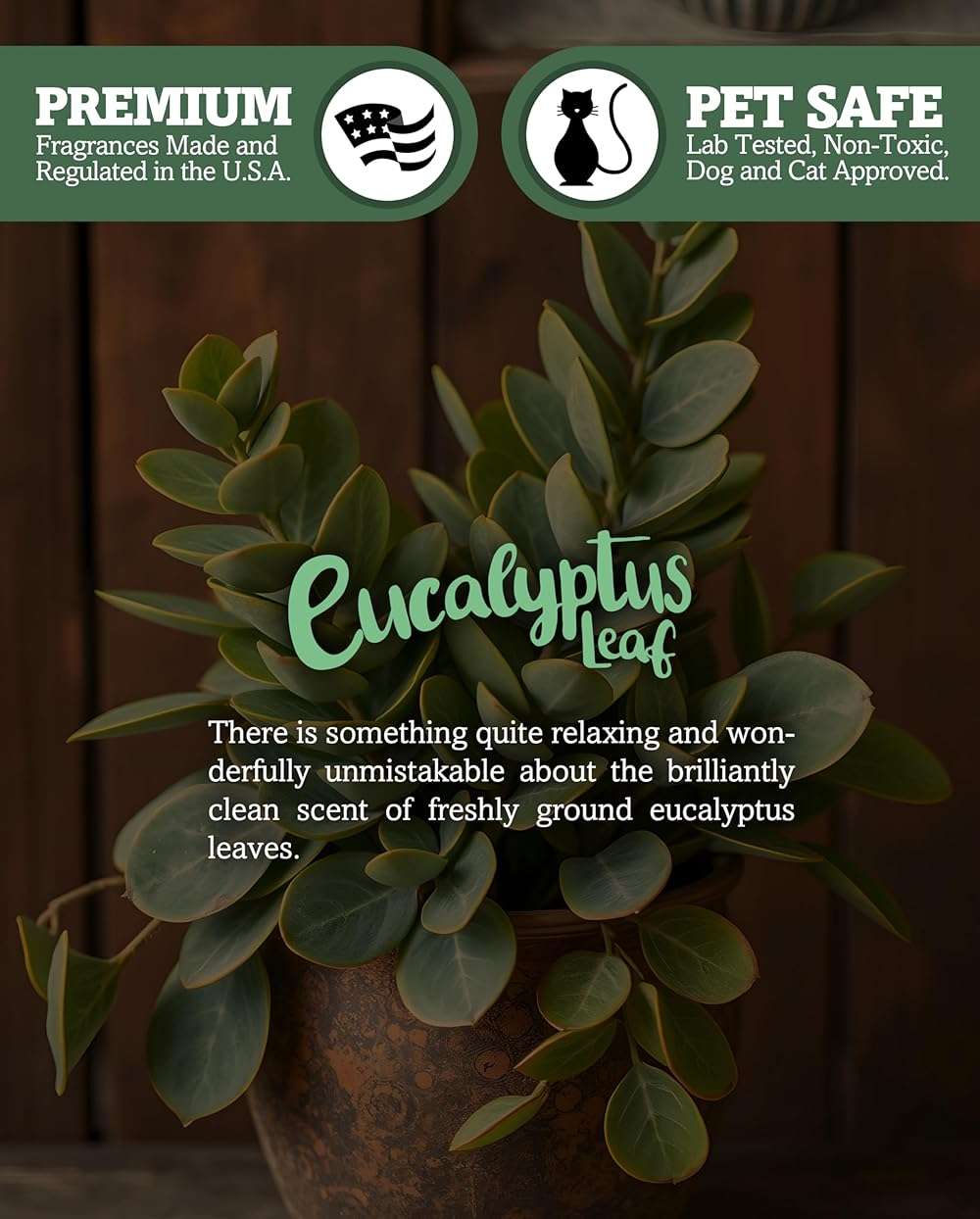 Eucalyptus Leaf Premium Tealight Candles - Highly Scented with Essential & Natural Oils - 6 Green Tea Lights - Beautiful Candlelight - Made in the USA - Fresh & Clean Collection - Image 5