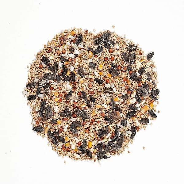Wagner's 62011 Eastern Regional Blend Wild Bird Food, 8-Pound Bag - Image 3