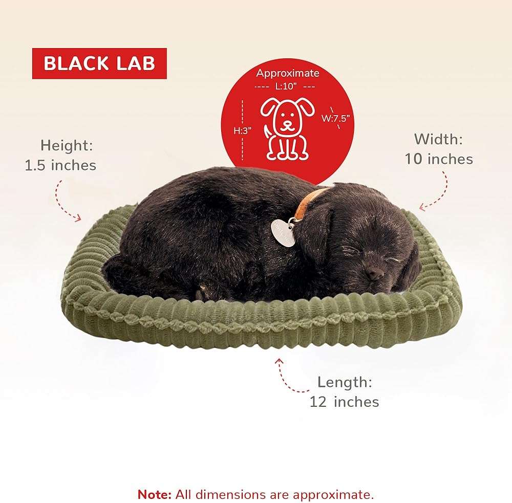 Perfect Petzzz - Original Petzzz Black Lab, Realistic, Lifelike Stuffed Interactive Pet Toy, Companion Pet Dog with 100% Handcrafted Synthetic Fur - Image 2