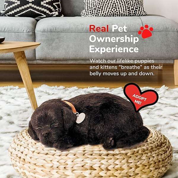 Perfect Petzzz - Original Petzzz Black Lab, Realistic, Lifelike Stuffed Interactive Pet Toy, Companion Pet Dog with 100% Handcrafted Synthetic Fur - Image 5