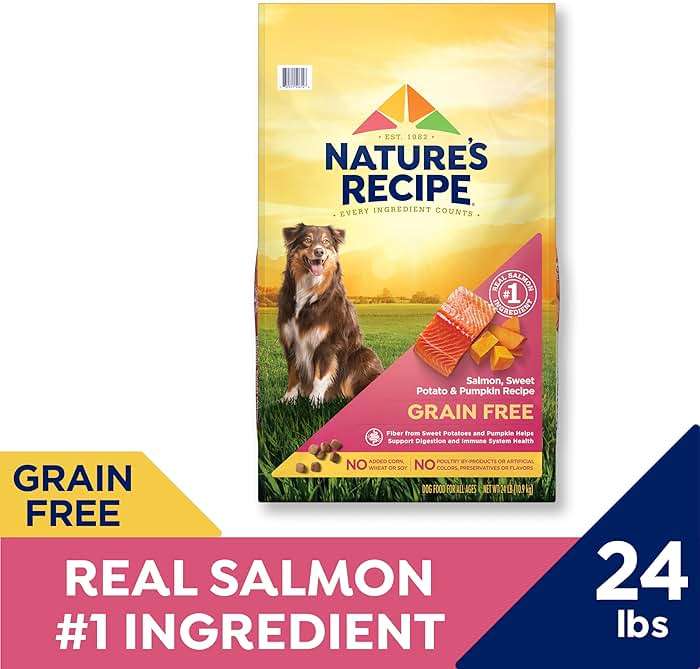 Nature's Recipe Grain Free Salmon, Sweet Potato & Pumpkin Recipe Dry Dog Food, 24 lb. Bag - Image 2
