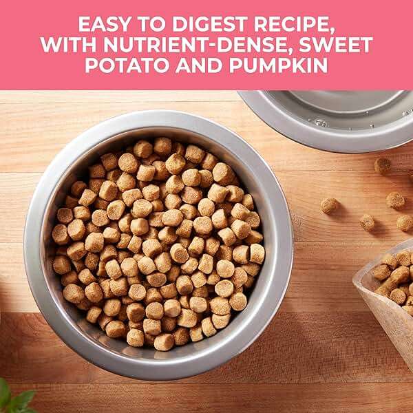 Nature's Recipe Grain Free Salmon, Sweet Potato & Pumpkin Recipe Dry Dog Food, 24 lb. Bag - Image 3